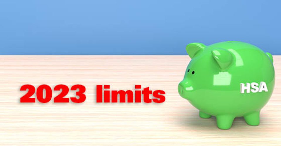 Health Savings Account Piggy Bank